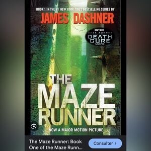 The maze runner